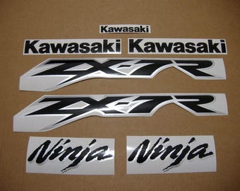 naページ Kawasaki ZX 10 R 2019-> (ZX-10R ZX1000E-F) Rear Inner Fender