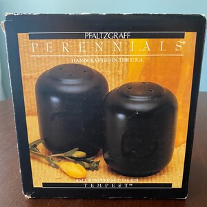 PFALTZGRAFF Perennials Tempest Pattern Salz & Pfeffer Set - Neu in Originalverpackung
