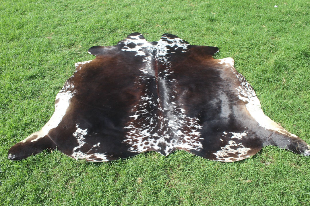 Amazing Tricolor Cowhide Rug Large Tricolor Cow Hide Rug Natural Cow