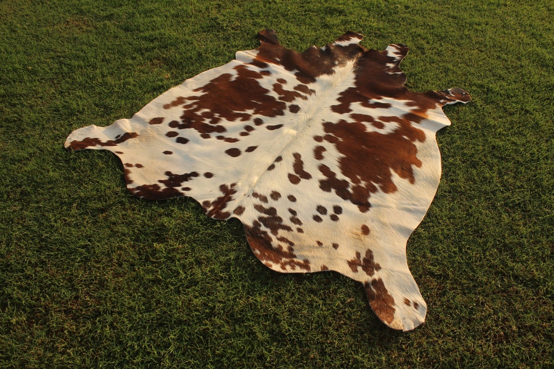 Amazing Brown Cowhide Rug Brown and White Cow skin Rug Cow Etsy