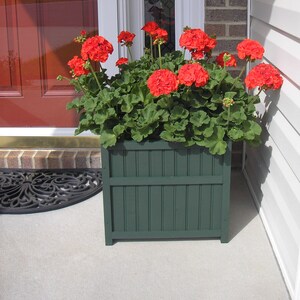 May include: A green wooden planter box with red geraniums in bloom. The planter is sitting on a brick patio in front of a white door.