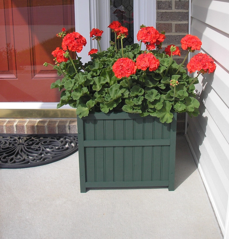 May include: A green wooden planter box with red geraniums in bloom. The planter is sitting on a brick patio in front of a white door.