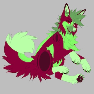 feral wolf adopt