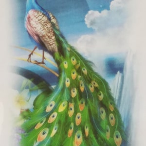 PEACOCK FANTASY -  Fantasy Animal Portrait Cross Stitch, Rating - 3