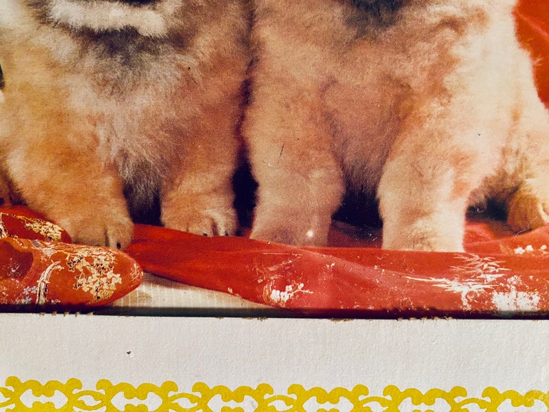 Cool mall prize\u2014funny dogs \u201cWhat\u2019s for dinner?\u201d glass framed 1990s picture\u2014free shipping
