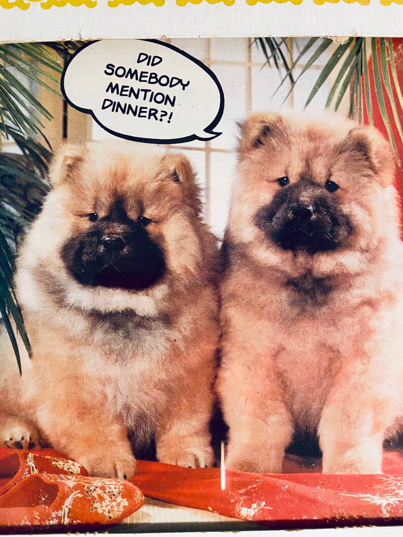 Cool mall prize\u2014funny dogs \u201cWhat\u2019s for dinner?\u201d glass framed 1990s picture\u2014free shipping