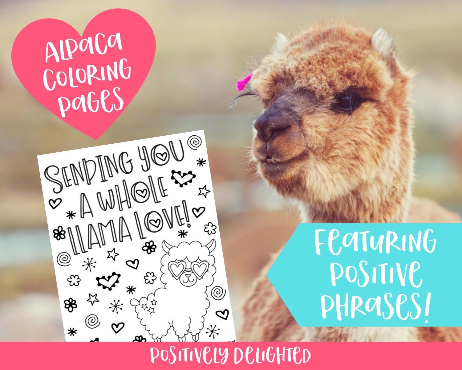 Alpaca Llama Coloring Pages Printable Llama Birthday Party Etsy