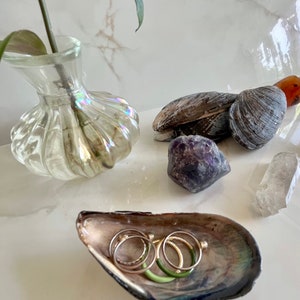 Abalone Shell Jewelry Dish