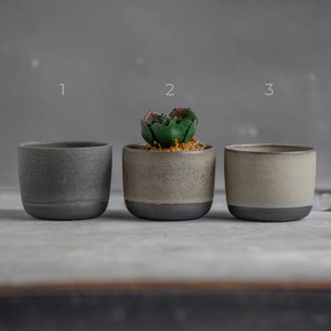 Op de afbeelding: Drie keramische potten, waarvan één met een kleine groene succulent. De potten zijn allemaal lichtgrijs met een donkergrijze rand.