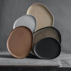 May include: A collection of five ceramic plates with irregular, organic shapes. The set includes plates in matte finishes of tan, light gray, warm brown, dark beige, and charcoal black, arranged in a layered, overlapping composition.