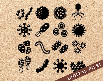 Mold & Virus | Cricut SVG Cut File, PNG JPG Clipart, Printable Science Teaching Aid Materials For Classroom Project , s, Silhouette