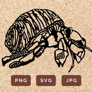 Hermit Crab and Shell SVG, PNG, JPG Silhouette For Paper Craft, Cricut, & Scrapbooking Commercial and Personal Use Beach Decor