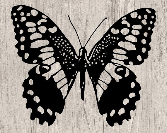 Download Butterfly Svg Cut Files For Digital Download Use With Paper Etsy PSD Mockup Templates