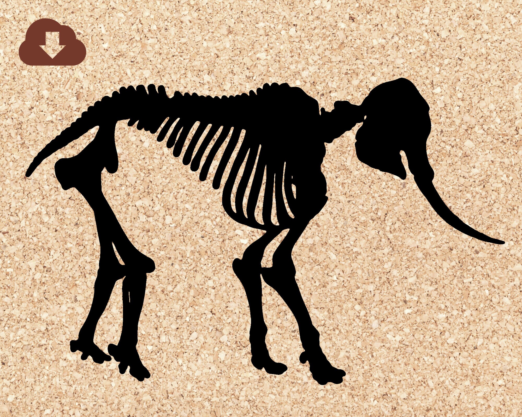 Download Elephant Skeleton Halloween Svg File For Cricut Decals Etsy