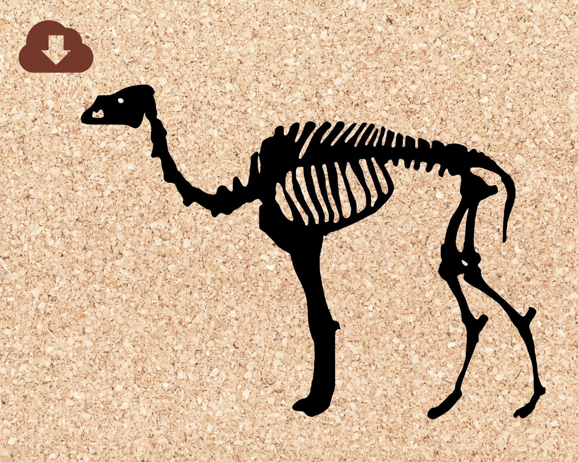 Download Camel Skeleton Halloween Animal Svg Silhouette For Crafts Etsy