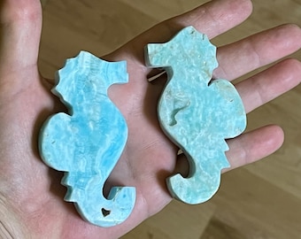 Pretty Blue Aragonite Sea Horses