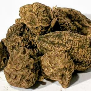 High John the Conqueror Root