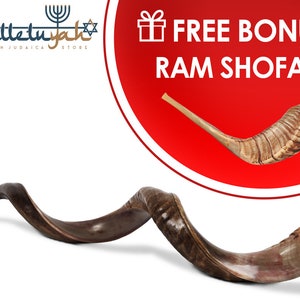 Kudu Shofar Horn, Yemenite Kosher Shofar, Half Polished Kudu Shofar, Blowing Ram Horn Shofar, Shofar Trumpet, Shofar Kit, Passover Gift
