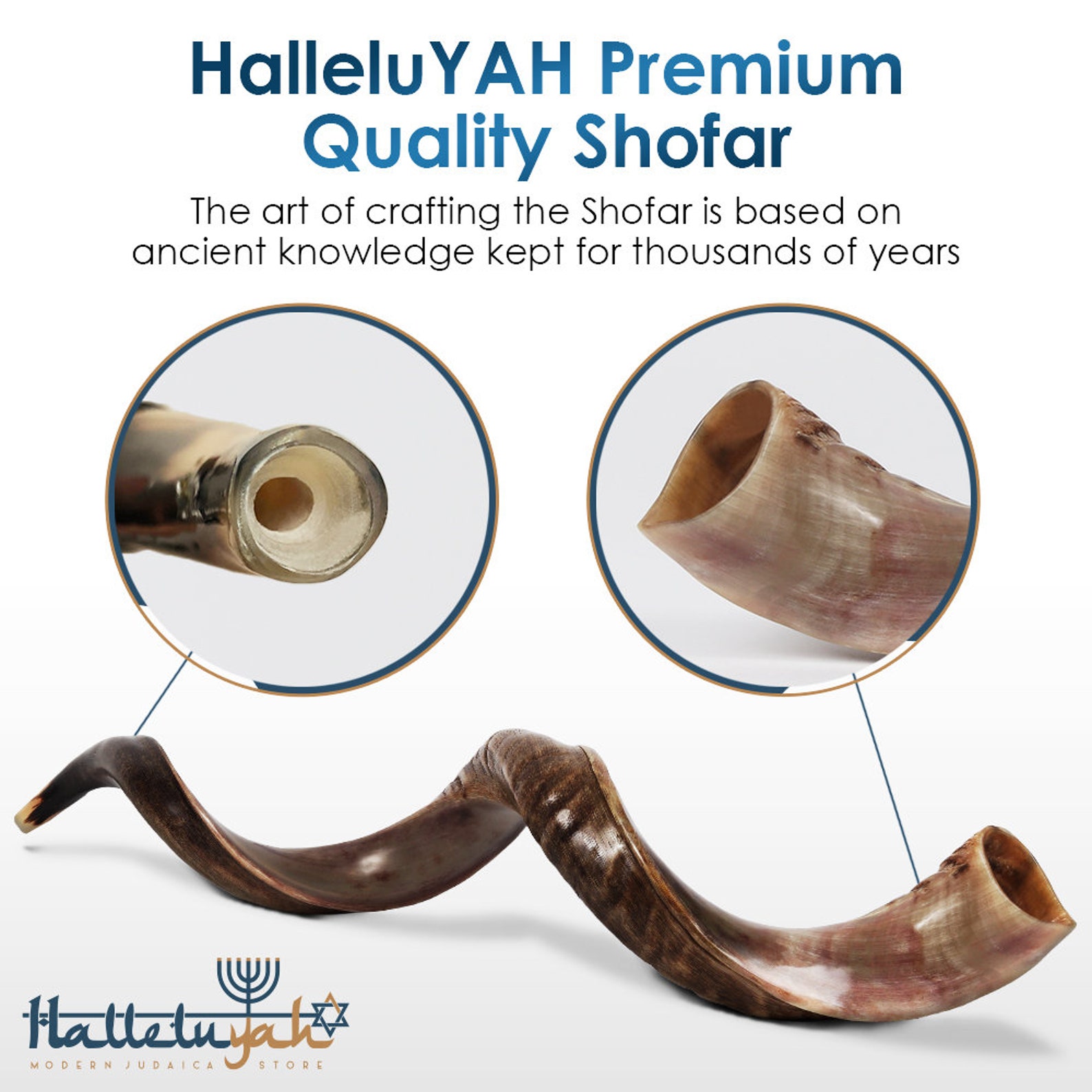 Kudu Shofar Horn Yemenite Kosher Shofar Half Polished Kudu Etsy