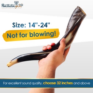 Op de afbeelding: Een bruine en zwarte sjofar, een traditioneel Joods ceremonieel hoorn, wordt in een hand gehouden. De sjofar is 35 tot 61 centimeter lang. De tekst "Grootte: 14"-24" Niet om te blazen!" wordt weergegeven op een gele achtergrond. De tekst "Voor uitstekende geluidskwaliteit, kies 81 centimeter en hoger" wordt weergegeven op een blauwe achtergrond.