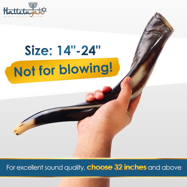Op de afbeelding: Een bruine en zwarte sjofar, een traditioneel Joods ceremonieel hoorn, wordt in een hand gehouden. De sjofar is 35 tot 61 centimeter lang. De tekst "Grootte: 14"-24" Niet om te blazen!" wordt weergegeven op een gele achtergrond. De tekst "Voor uitstekende geluidskwaliteit, kies 81 centimeter en hoger" wordt weergegeven op een blauwe achtergrond.