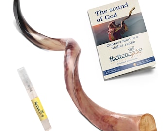 HalleluYAH Original Kosher Full-Polished Kudu Shofar From Israel