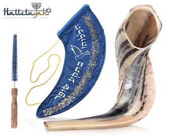May include: A blue velvet shofar bag with gold embroidery and a Hebrew inscription. The bag has a drawstring closure and a matching cord. A shofar, a ram's horn used in Jewish religious ceremonies, is also pictured. The shofar is made of natural horn and has a light brown color with dark brown markings.