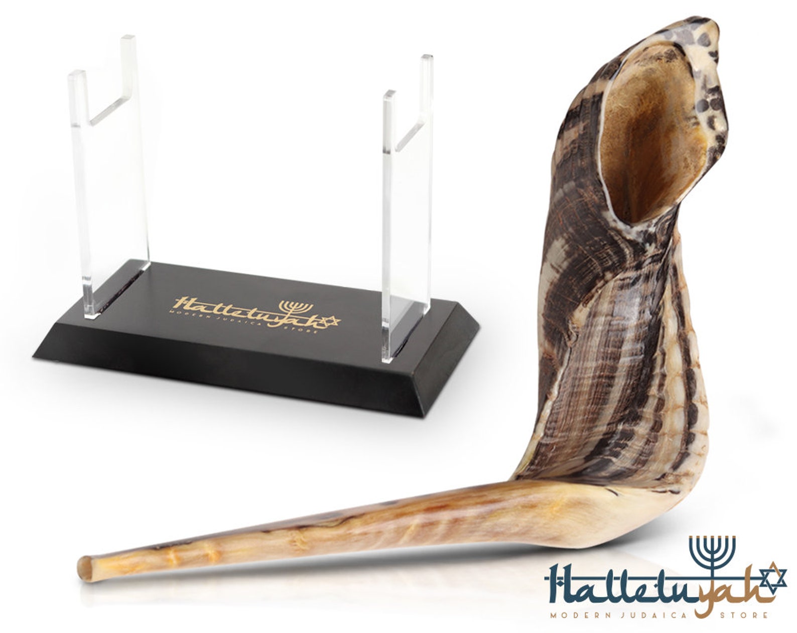 Halleluyah Shofar Set Authentic Ram Horn Shofar From Israel Etsy