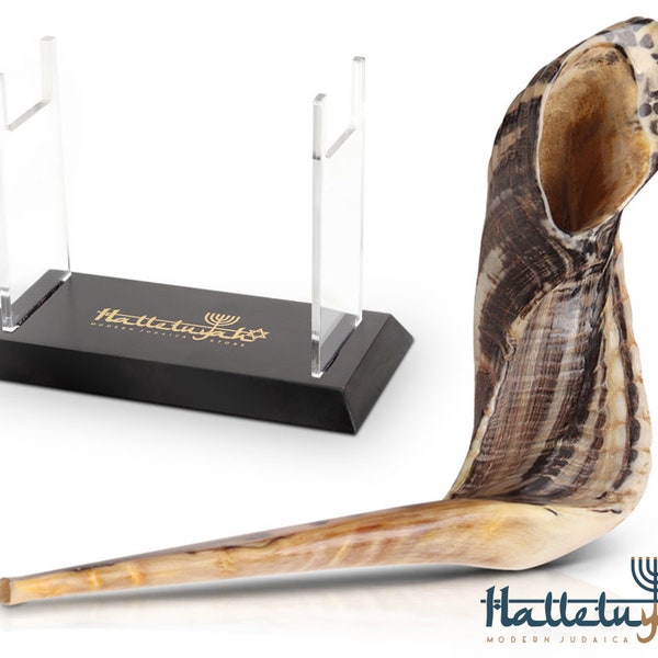 Shofar From Israel Etsy