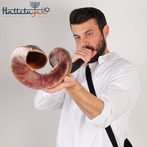 Op de afbeelding: Een persoon blaast op een sjofar, een traditioneel Joods instrument gemaakt van een ramhoorn. De sjofar is bruin en heeft een natuurlijk, getextureerd oppervlak. De persoon draagt een wit overhemd en een zwarte stropdas.