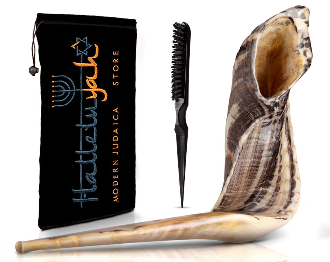 Halleluyah Shofar Set Ram Horn Kosher Shofar Traditional Etsy