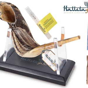 HalleluYAH Shofar Set – Authentic Ram Horn Shofar From Israel Includes Wood Stand