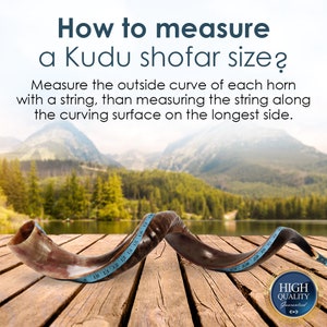 Op de afbeelding: Hoe meet je de grootte van een Kudu-schofar? Meet de buitenbocht van elke hoorn met een touwtje, meet dan het touwtje langs het gebogen oppervlak aan de langste zijde. Een bruine Kudu-schofar met een blauwe meetlint eromheen gewikkeld.