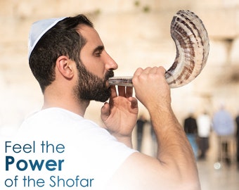 Shofar Horn From Israel, Ram Horn Shofar, Kosher Shofar, Viking Blowing Horn, Rosh Hashanah Shofar, Shofar Trumpet, Shofar Kit, Israeli Gift