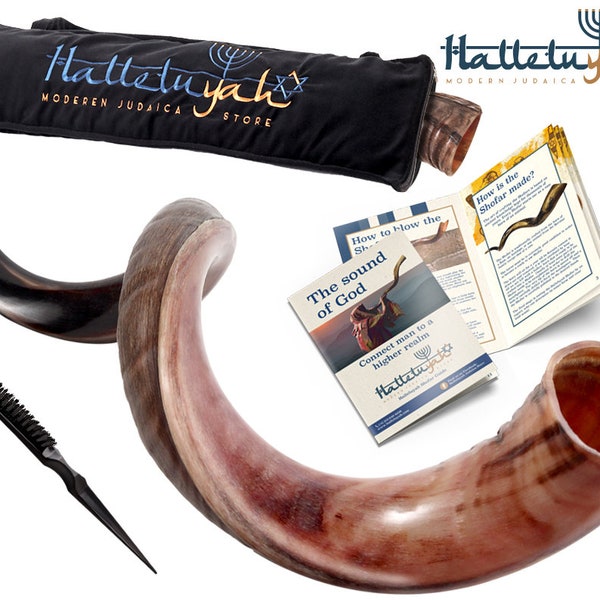 Shofar - Etsy