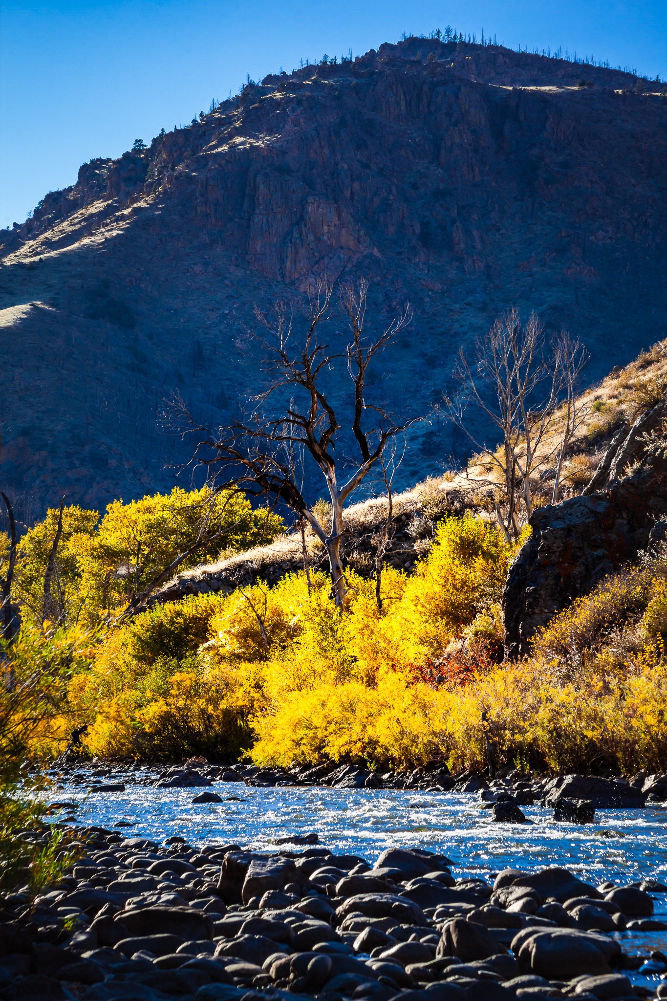 Cache La Poudre River in Poudre Canyon Near Fort Collins Etsy