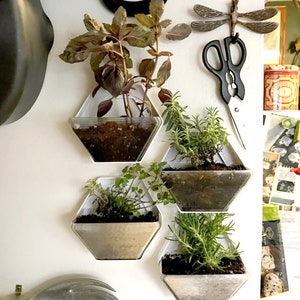 Hanging Planter Mother/'s Day Gift AFTER CHRISTMAS DELIVERY**Cloud Hanging Planter 3D Printed Plastic Creative