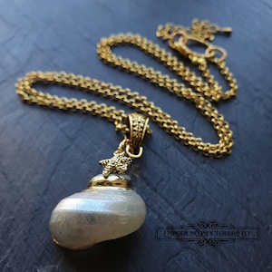 Op de afbeelding: Een goudkleurige ketting met een parelmoer schelpvormige hanger. De hanger heeft een zeester en gedetailleerde versieringen. De ketting heeft een delicate schakelstijl. De ketting wordt op een donkere ondergrond getoond.