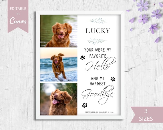 Pet Memorial Card I Editable Canva Template I Pet Loss Gift - Etsy