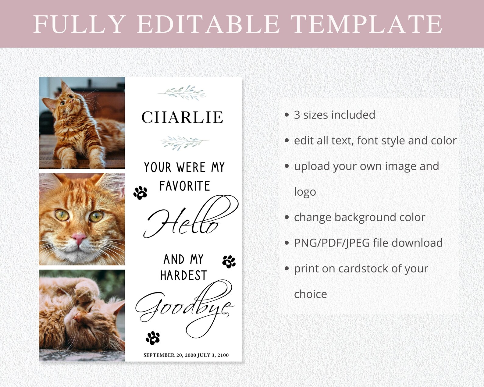 Pet Memorial Card I Editable Canva Template I Pet Loss Gift - Etsy