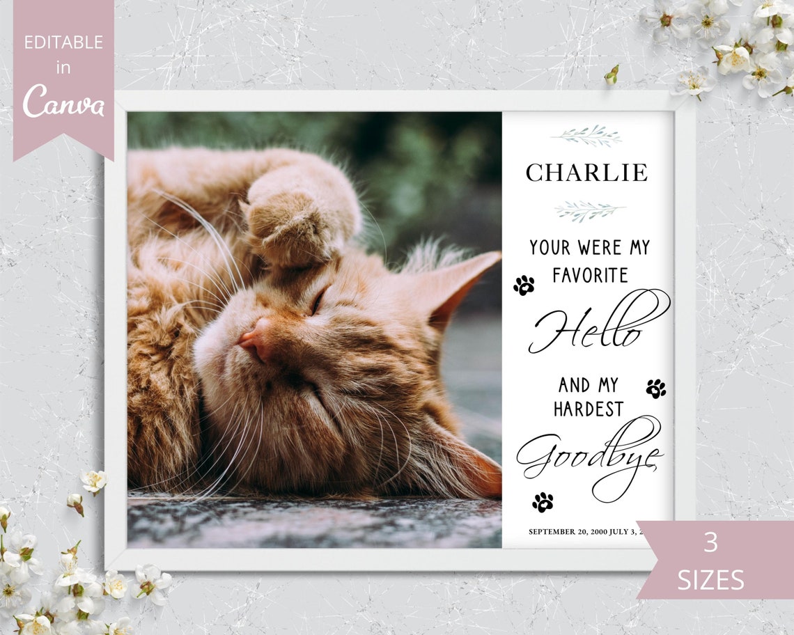 Pet Memorial Card I Editable Canva Template I Pet Loss Gift - Etsy