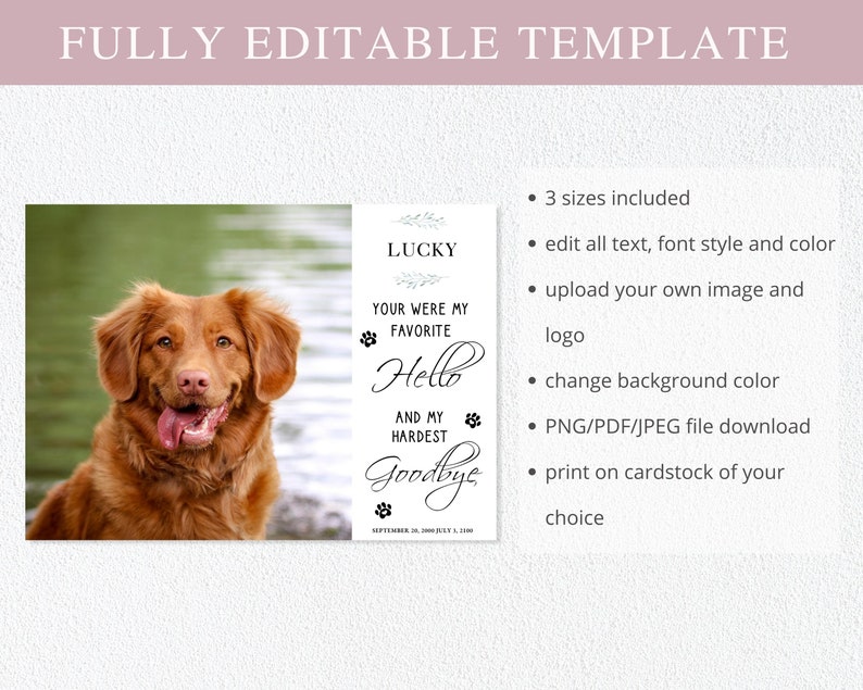 May include: Editable template for a pet memorial card with a photo of a brown dog. The text reads "Lucky, Your were my favourite Hello and my hardest Goodbye".