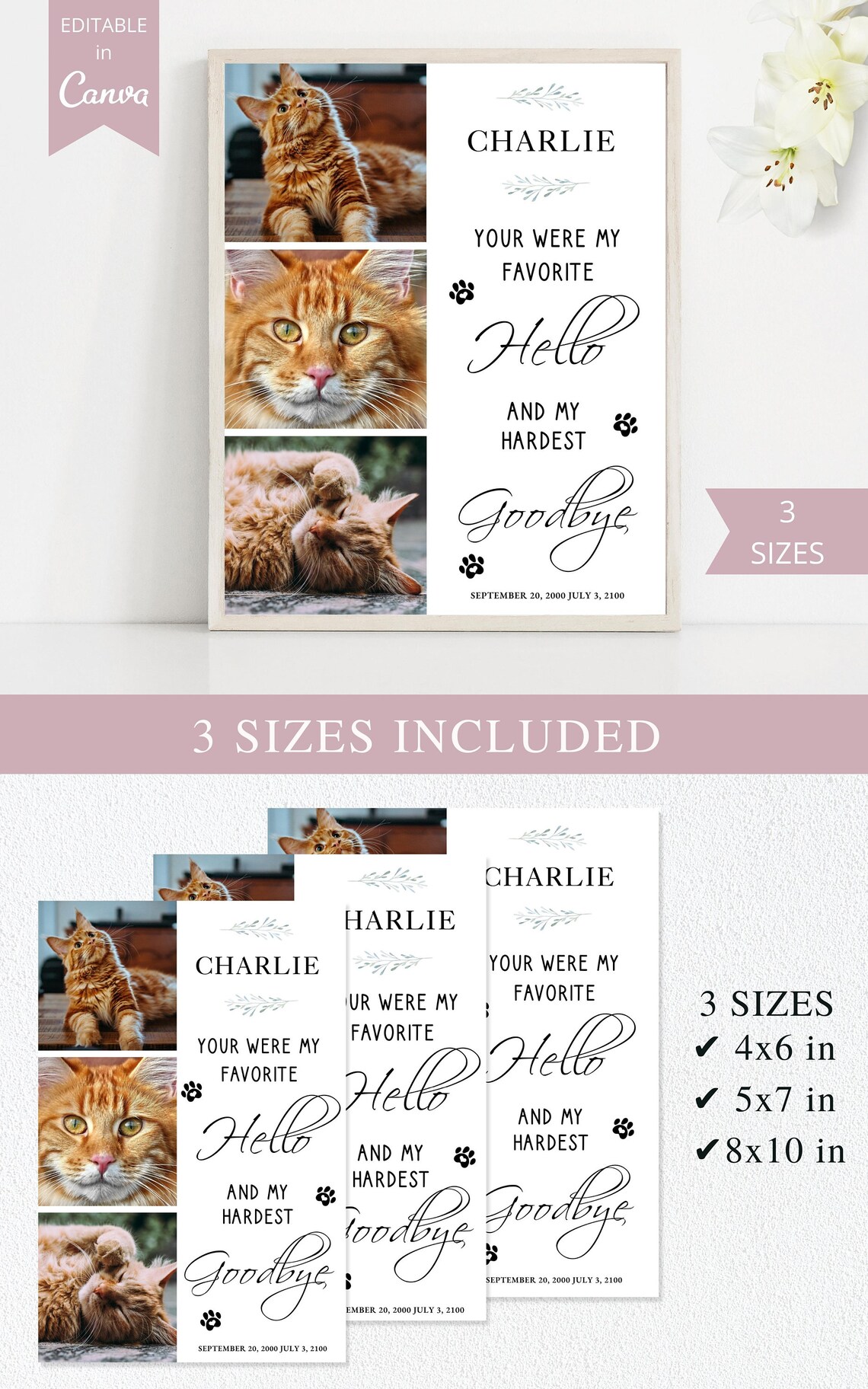 Pet Memorial Card I Editable Canva Template I Pet Loss Gift - Etsy