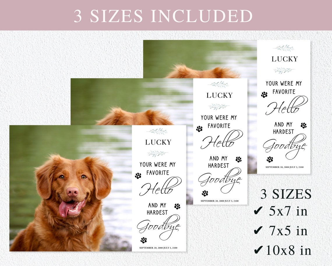 Pet Memorial Card I Editable Canva Template I Pet Loss Gift - Etsy