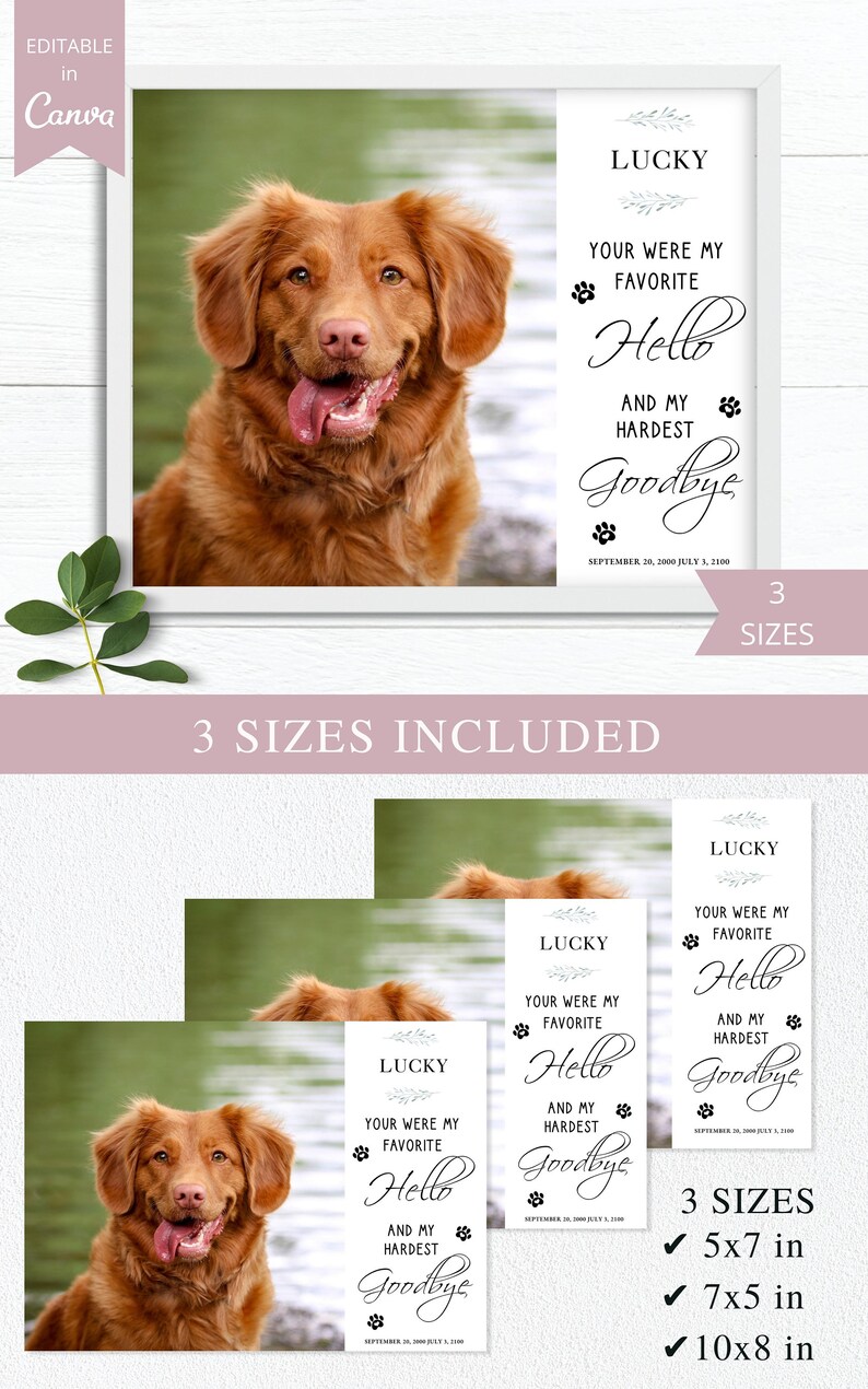 May include: Printable memorial card featuring a photograph of a brown dog. The text reads "Lucky, Your were my favourite. Hello and my hardest Goodbye. September 20, 2000 - July 3, 2100". The card is available in three sizes: 5x7 inches, 7x5 inches, and 10x8 inches.
