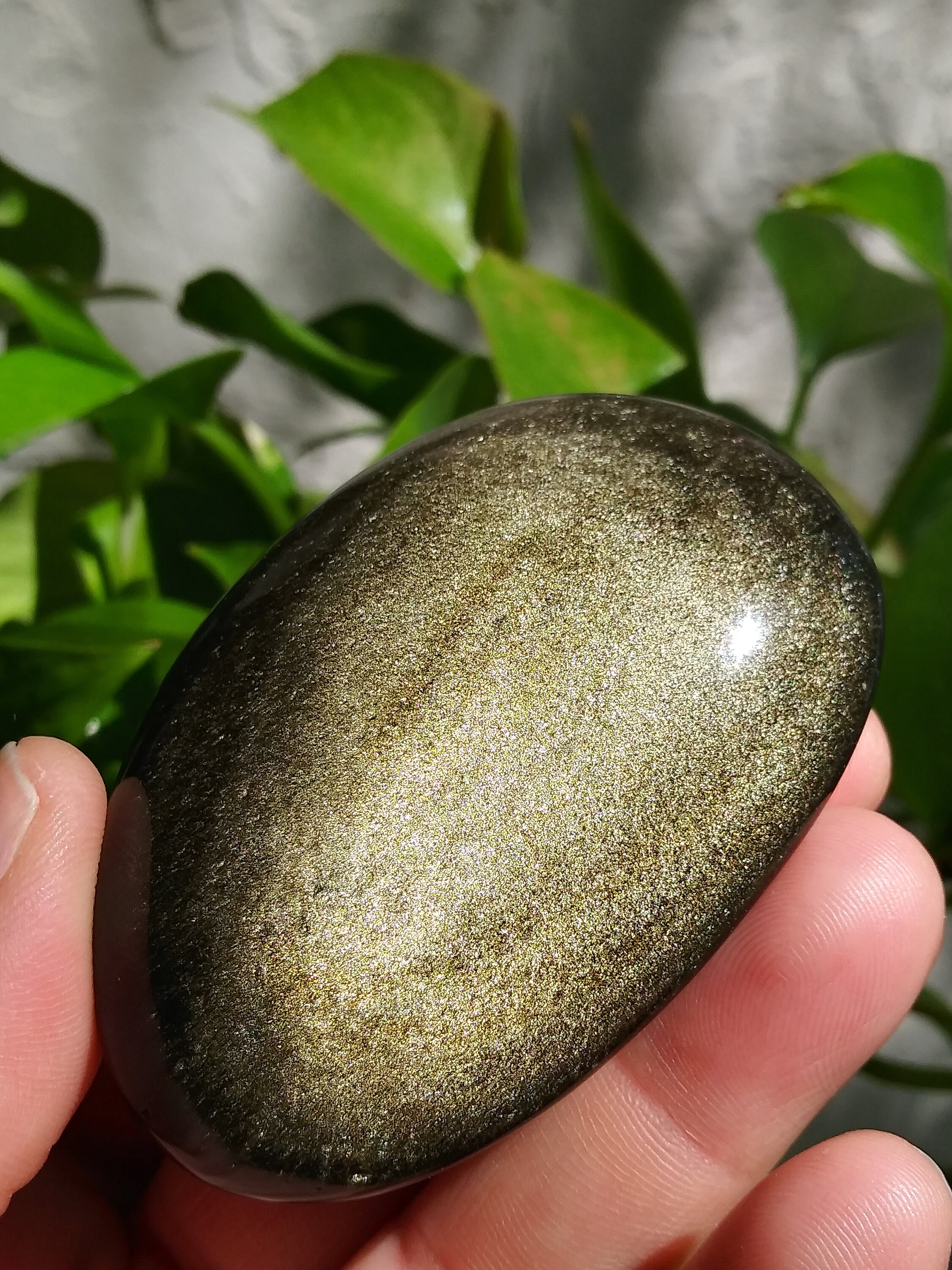 Gold Sheen Obsidian Palm Stone/ Gold Sheen Obsidian/ Crystals Etsy