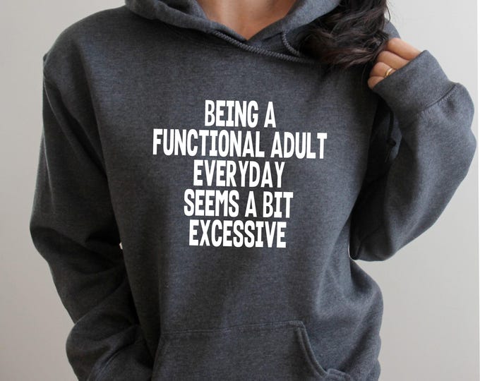 Being a Functional Adult Everyday is a Bit Excessive Hoodie