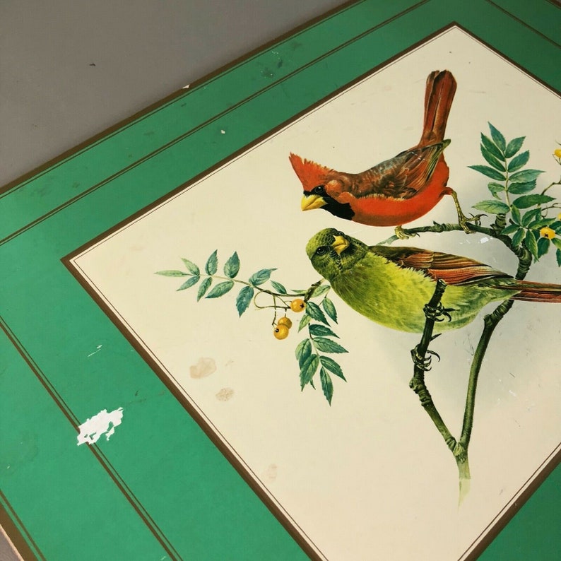 Pimpernel Place Mats LARGE 18 x 13 Green Gold Song Birds North Etsy