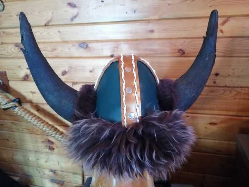 NDSU bison helmet