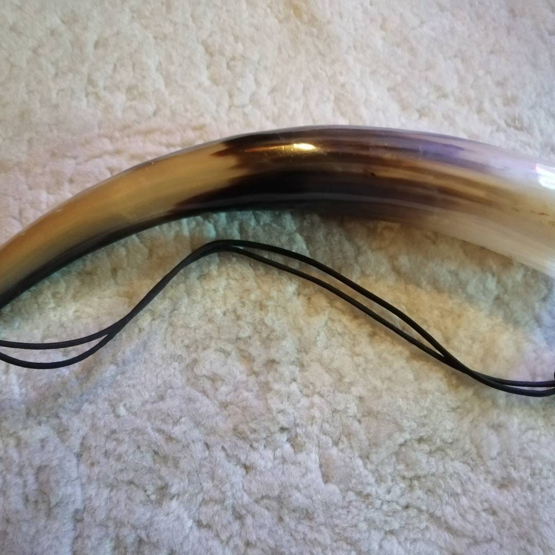 Viking blowing horn. Medieval blowing horn cow horn blowing Etsy